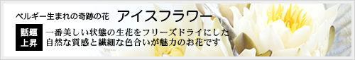 アイスフラワー