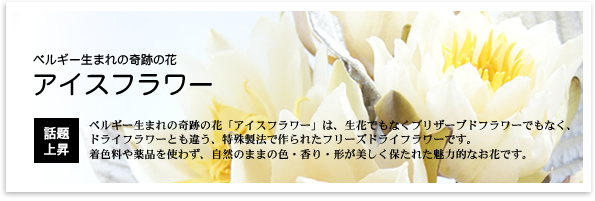 奇跡の花アイスフラワー