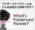 プリザーブドフラワーとは？