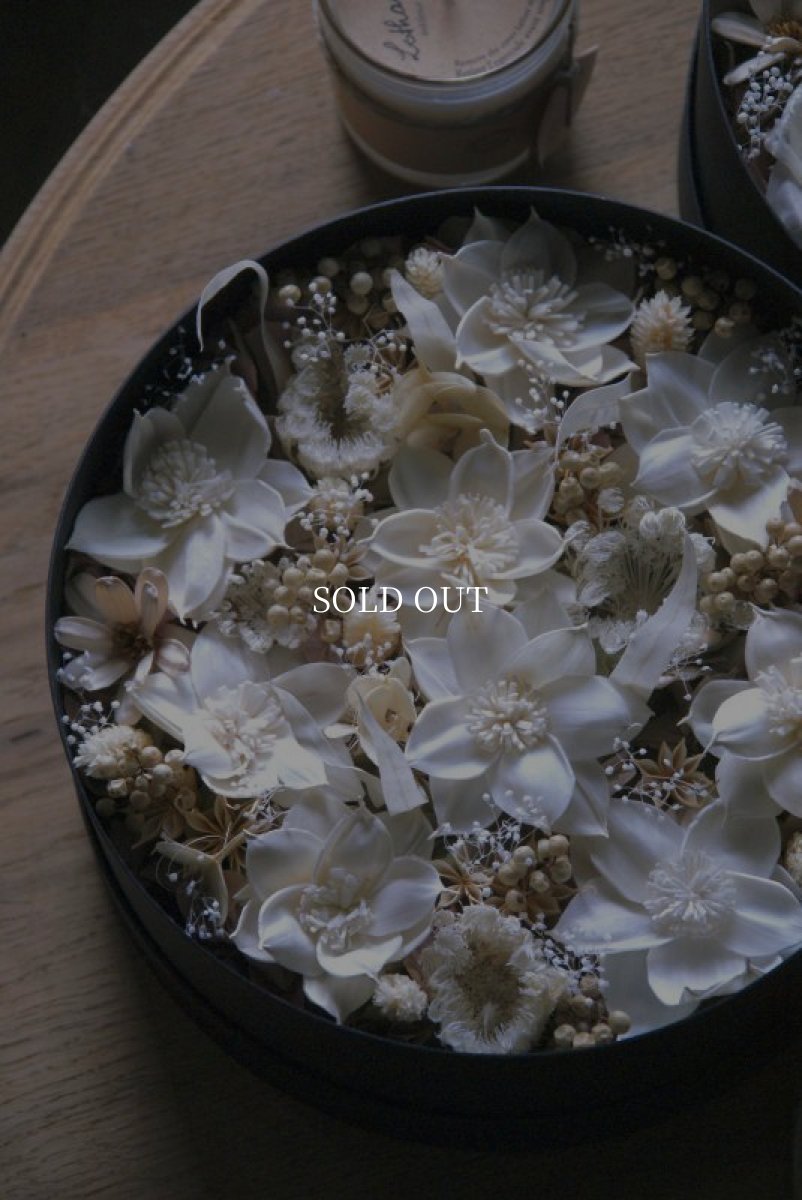 画像2: ソーラークリスマスローズのボックスフラワー (2)