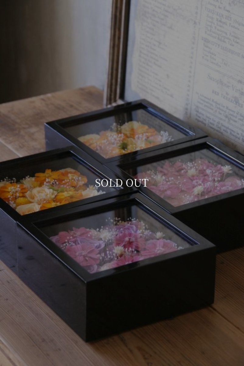 画像4: フレームボックスジニア　ピンクB (4)