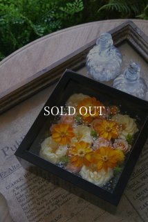 鉢花 Kanon KANON FLOWERS カノンフラワーズ プリザーブドフラワー
