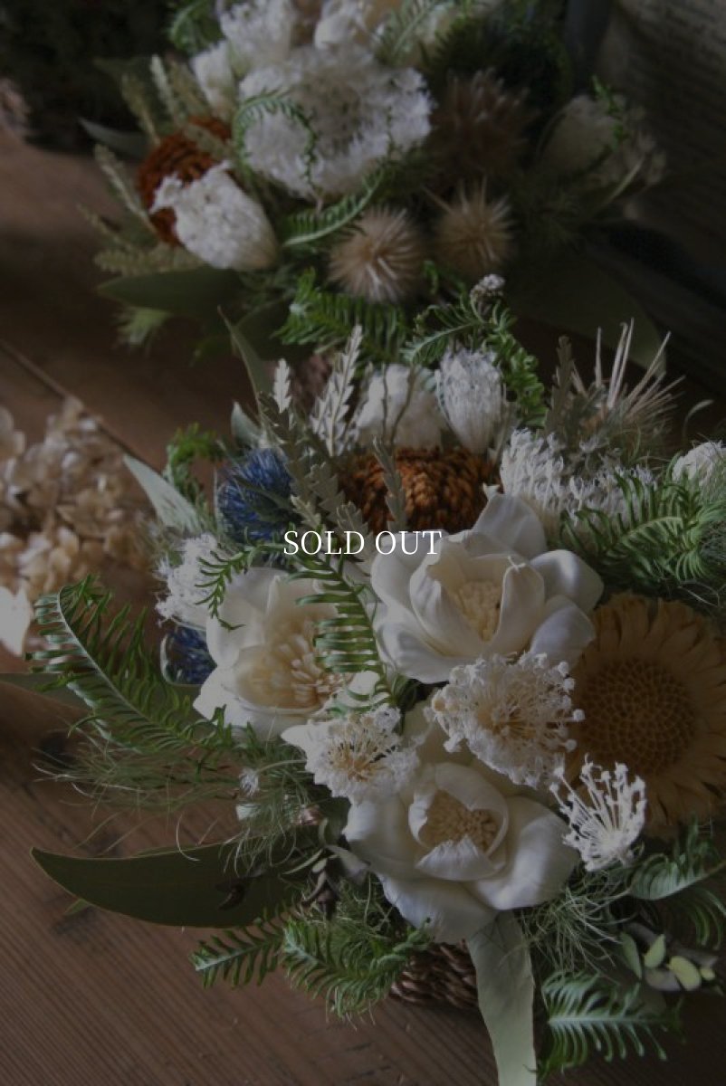 画像2: ソーラーガーデニアのコンポジション (2)