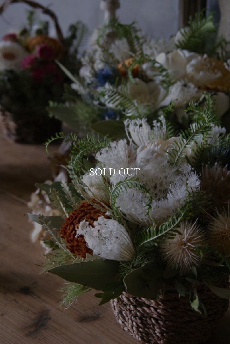 画像2: フェンネルのコンポジション (2)