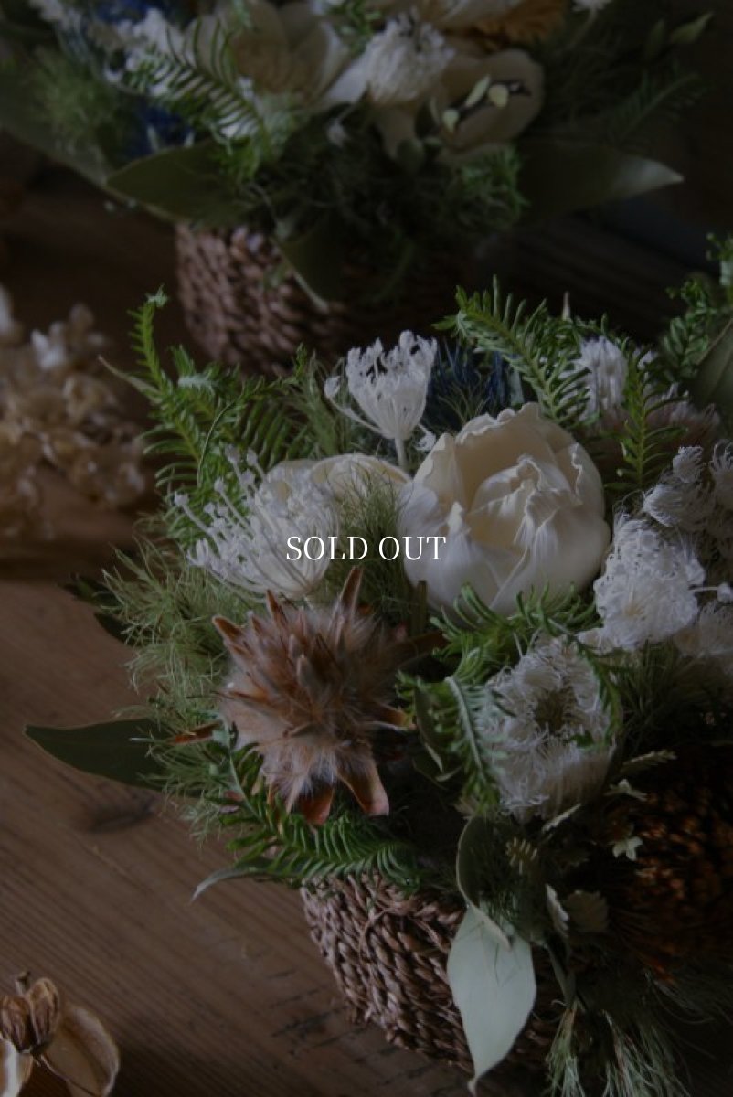 画像3: フェンネルのコンポジション (3)