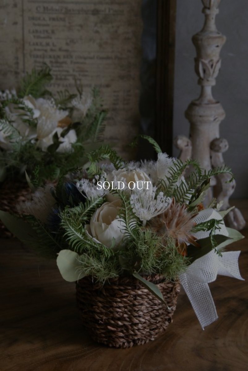 画像5: フェンネルのコンポジション (5)