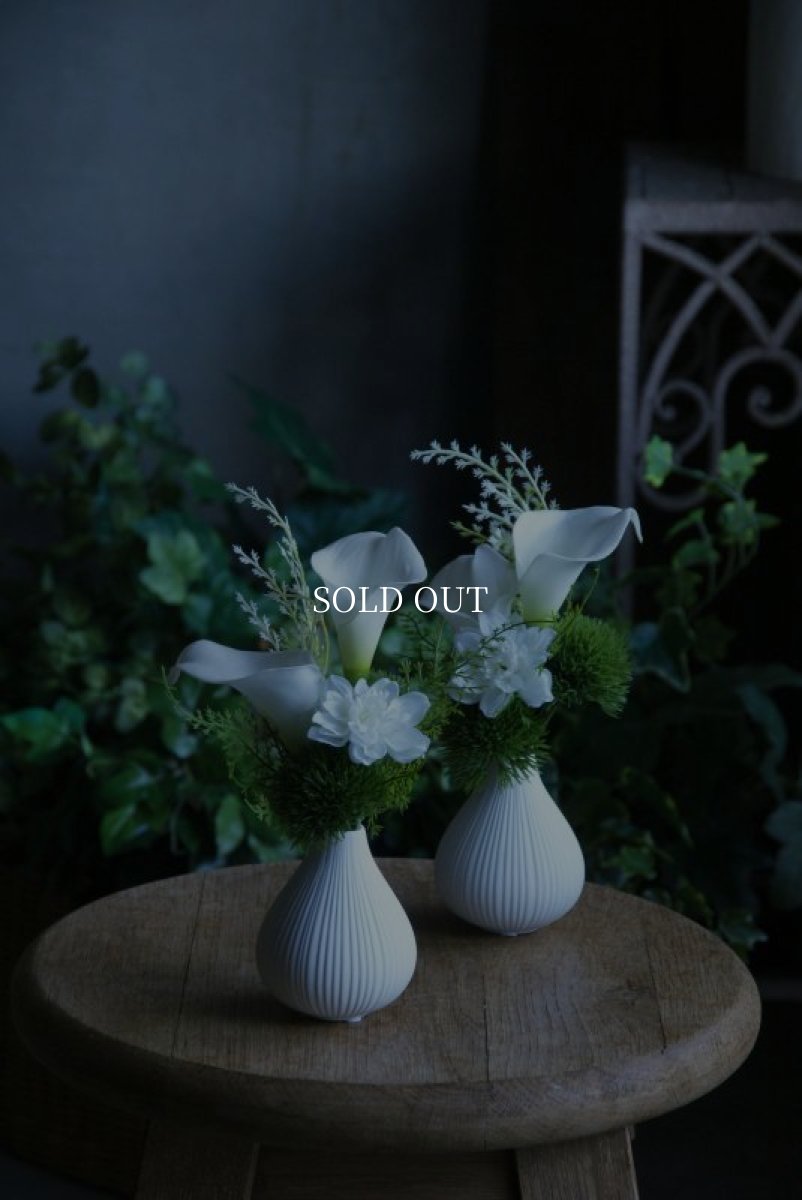 画像3: フィグS  ホワイト (3)