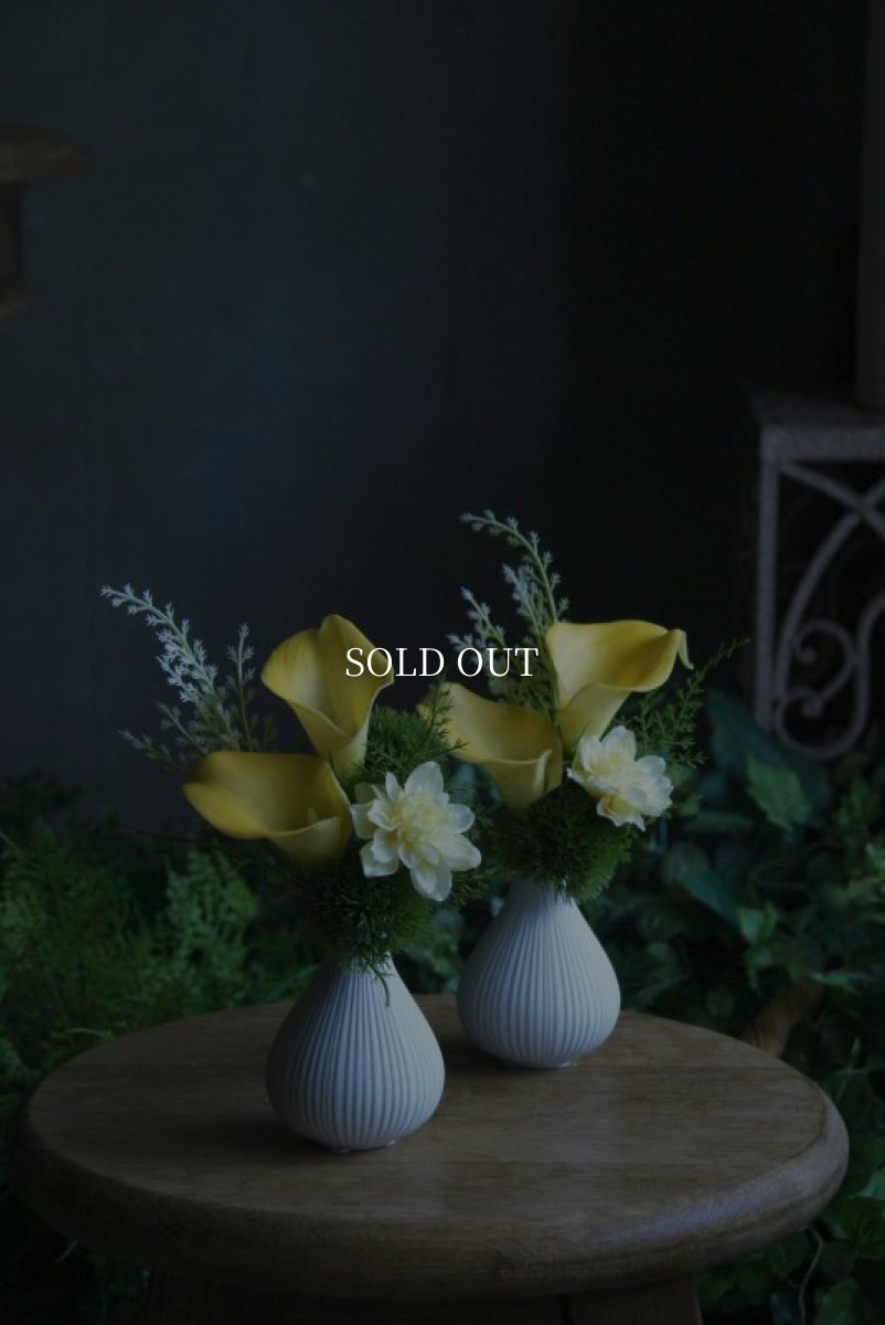 画像3: フィグS  イエロー (3)