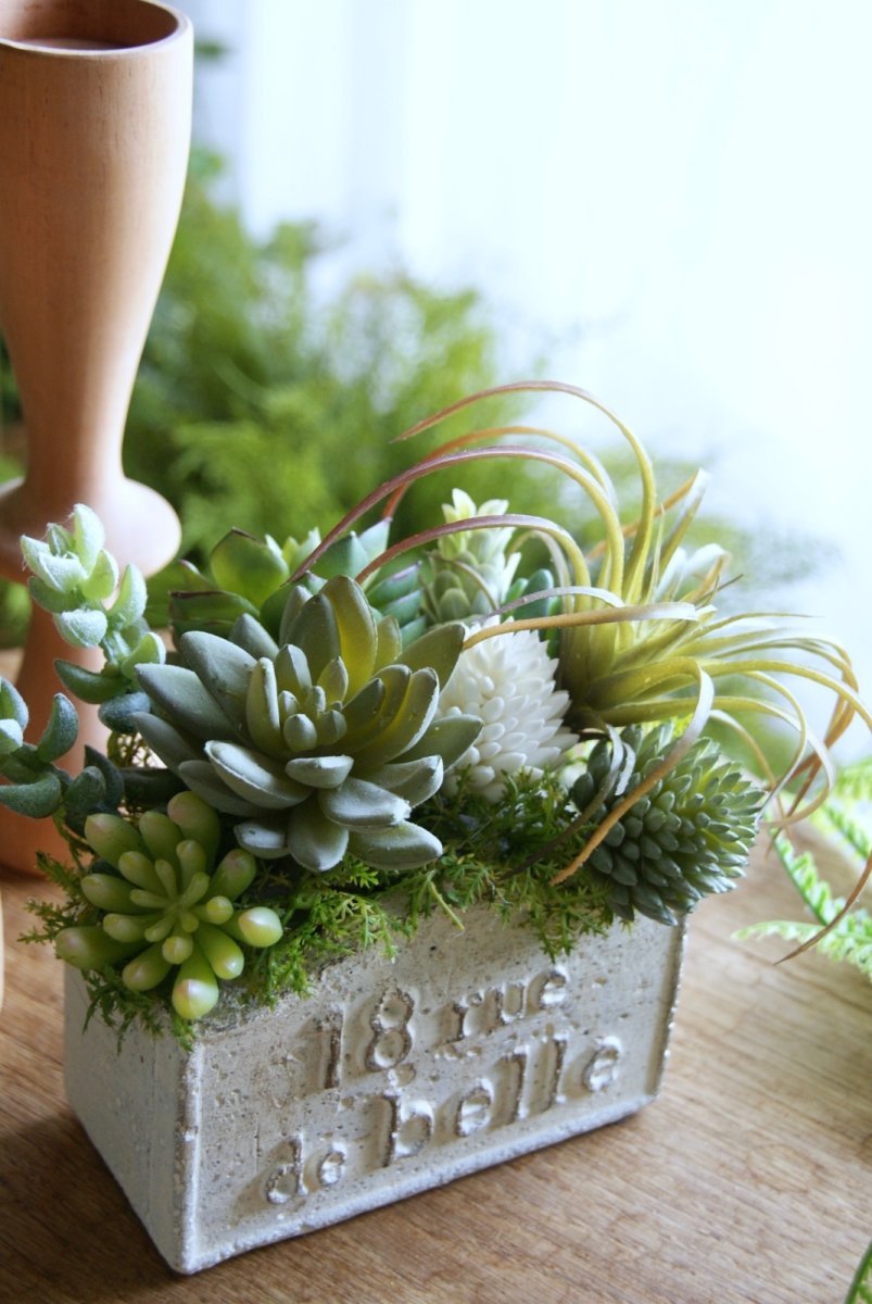 画像2: セダムのボタニカルアレンジ (2)