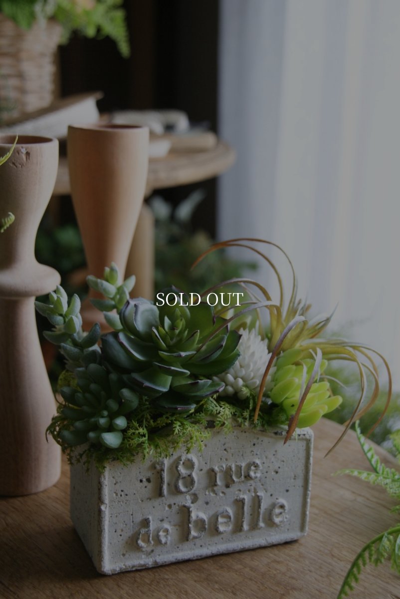 画像1: ローズエケベリアのボタニカルアレンジ (1)