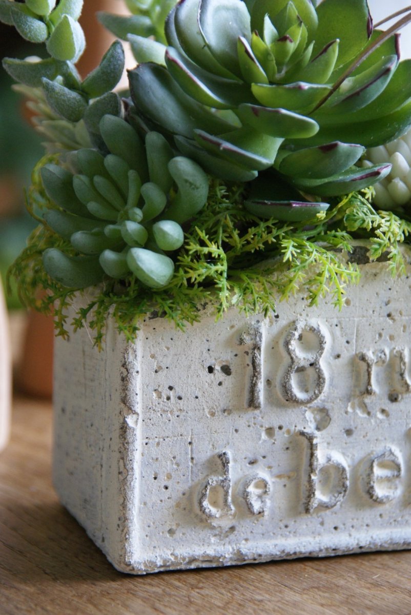 画像3: ローズエケベリアのボタニカルアレンジ (3)