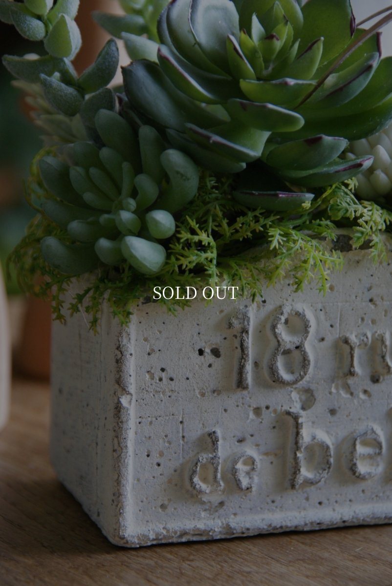 画像3: ローズエケベリアのボタニカルアレンジ (3)