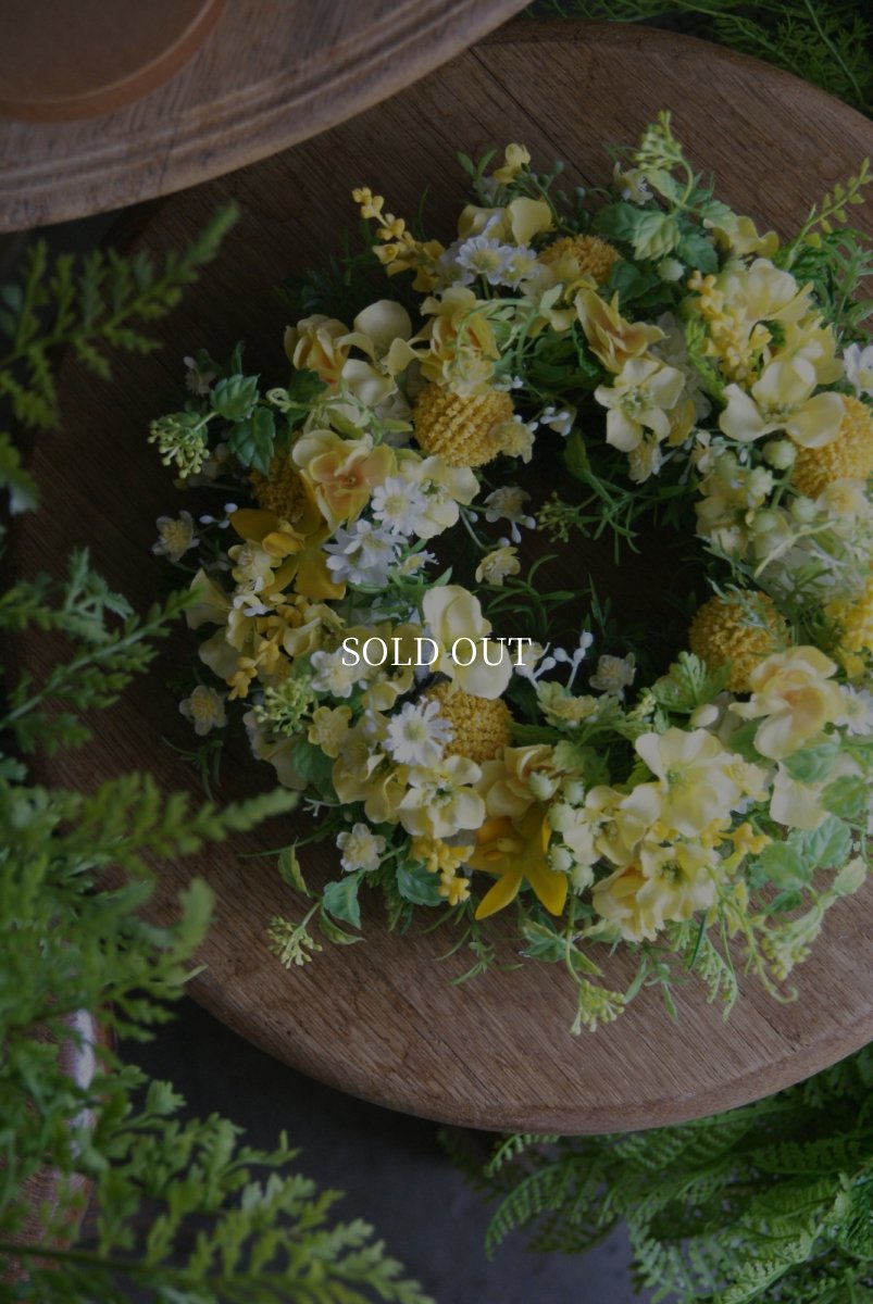 画像2: クラスペディアのリース (2)