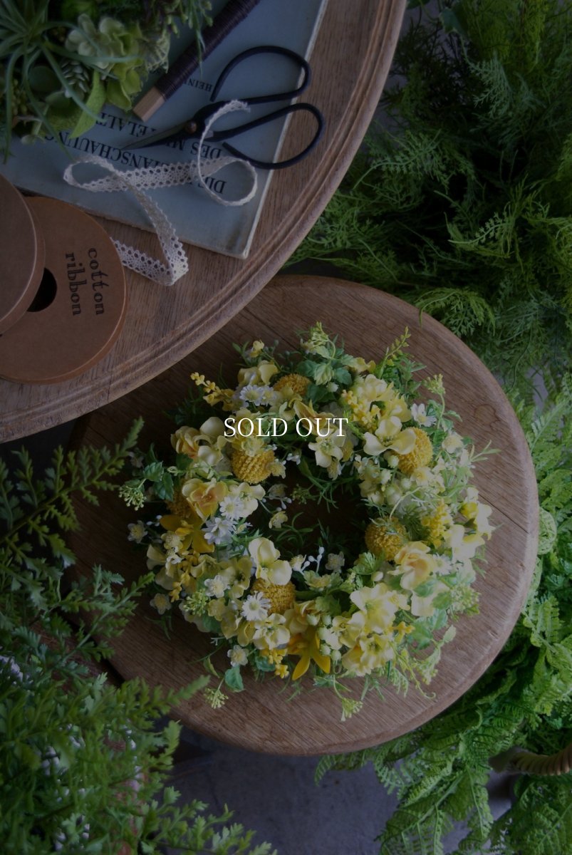 画像1: クラスペディアのリース (1)