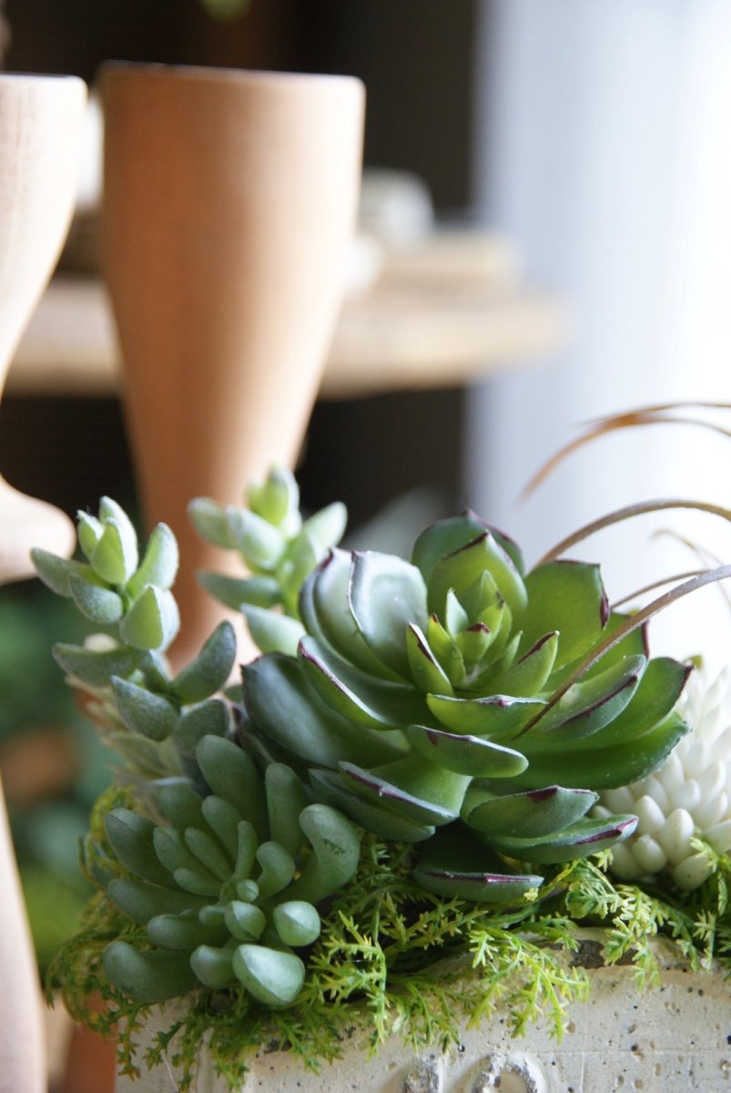 画像2: ローズエケベリアのボタニカルアレンジ (2)