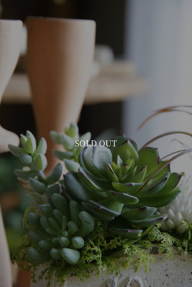 画像2: ローズエケベリアのボタニカルアレンジ (2)