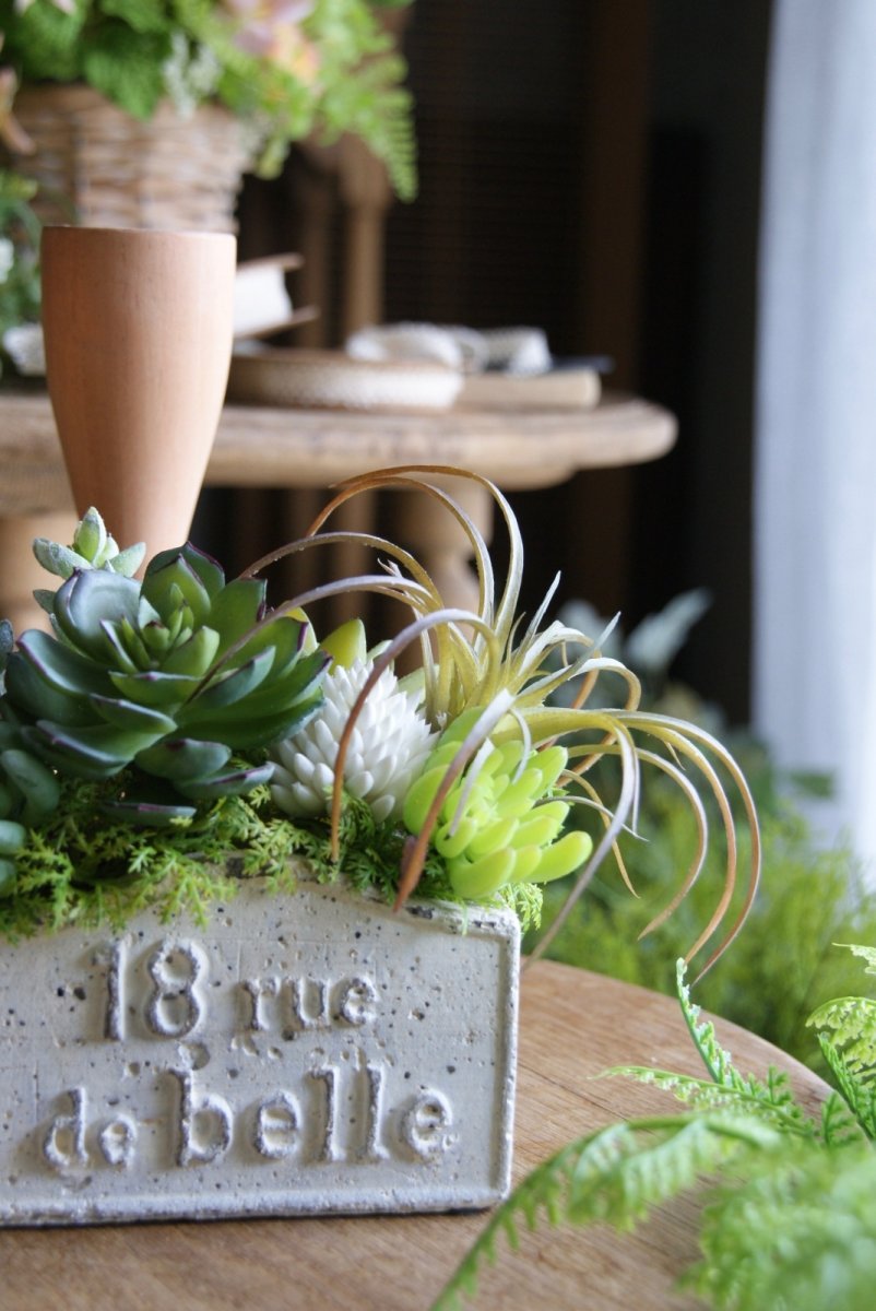 画像4: ローズエケベリアのボタニカルアレンジ (4)