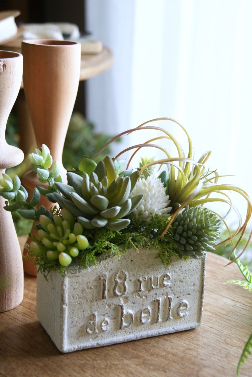 画像4: セダムのボタニカルアレンジ (4)