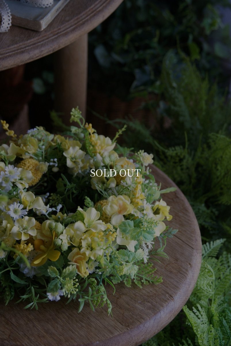 画像3: クラスペディアのリース (3)