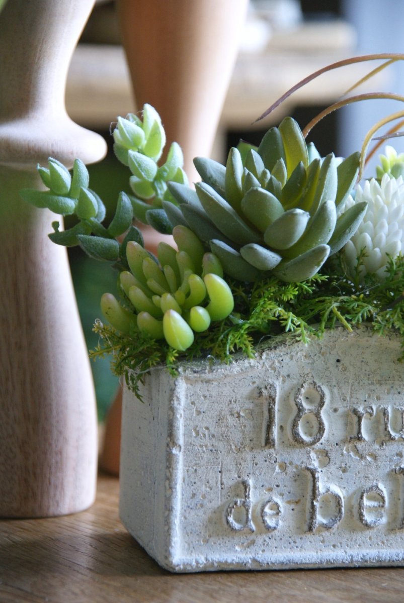 画像3: セダムのボタニカルアレンジ (3)