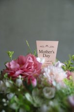 画像4: コンポジションミニョン (4)