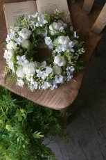 画像1: ブリリアンホワイトのリース (1)