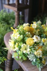 画像4: クラスペディアのリース (4)