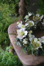 画像2: クリスマスローズのリース (2)