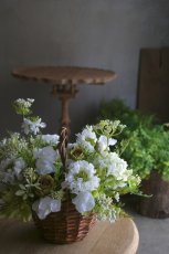 画像1: コンポジションピュアホワイト (1)