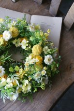 画像2: クラスペディアのリース (2)