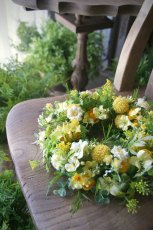 画像1: クラスペディアのリース (1)