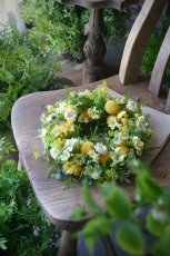 画像3: クラスペディアのリース (3)