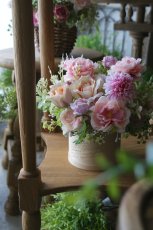 画像1: アプリコットピンクのコンポジション (1)