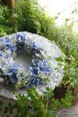 画像1: 紫陽花のリース ソフトブルーグリーン (1)