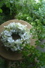 画像3: 紫陽花のリース ホワイトモーブグリーン (3)