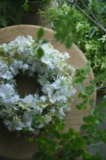 画像2: 紫陽花のリース ホワイトモーブグリーン (2)