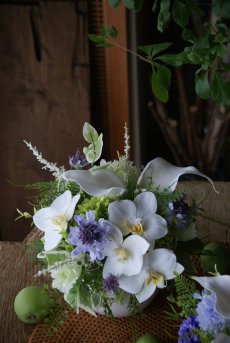 画像4: 胡蝶蘭のコンポジション (4)